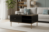 Camelienne Slatted Black And Gold Elegant Storage Coffee Table 3150rz