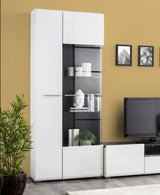 Reneese Modern Tall Wide 2 Door Showcase Display Cabinet in White Gloss with Black- 11008842