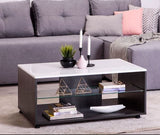 Reneese White Gloss and Ash Grey Coffee Table With Glass Shelf- 11008600
